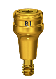 B1