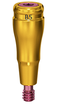 B5