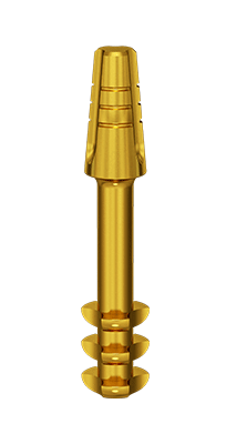 ANE