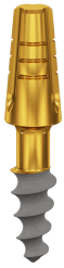 C3006