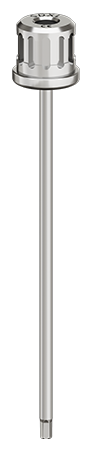 SDXL